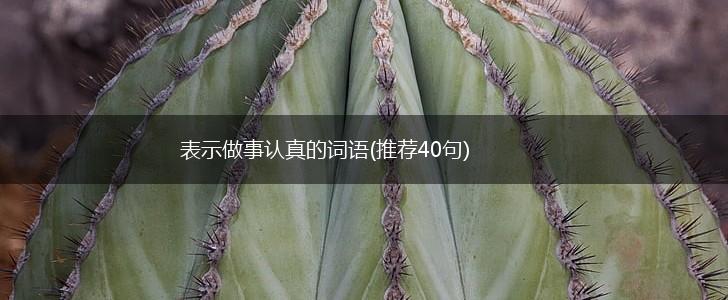 表示做事认真的词语(推荐40句),第1张 表示做事认真的词语(推荐40句),第1张