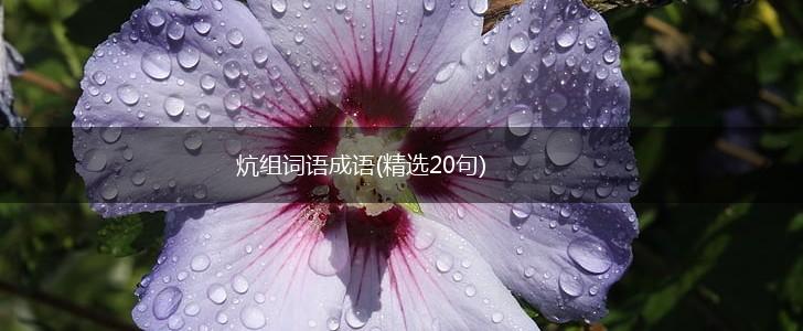 炕组词语成语(精选20句),第1张