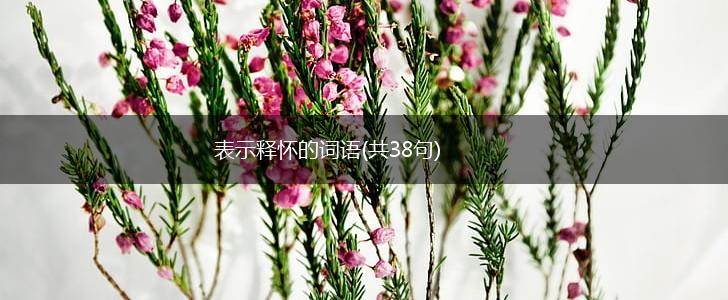 表示释怀的词语(共38句),第1张