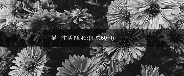 描写生活的词语(汇总60句),第1张 描写生活的词语(汇总60句),第1张