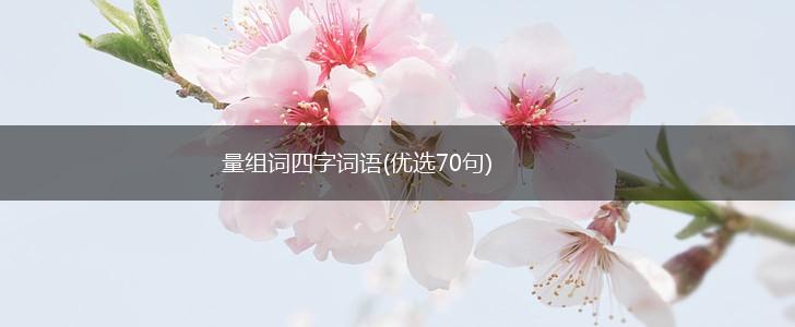 量组词四字词语(优选70句),第1张