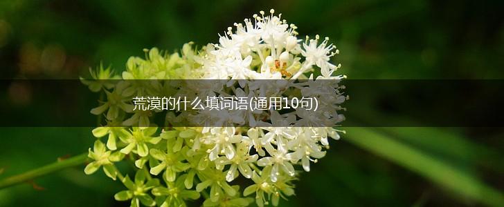 荒漠的什么填词语(通用10句),第1张