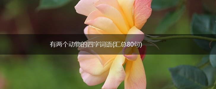 有两个动物的四字词语(汇总80句),第1张