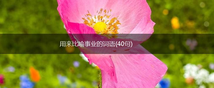 用来比喻事业的词语(40句),第1张 用来比喻事业的词语(40句),第1张