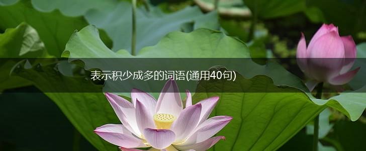 表示积少成多的词语(通用40句),第1张