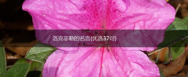 洛克菲勒的名言(优选37句),第1张