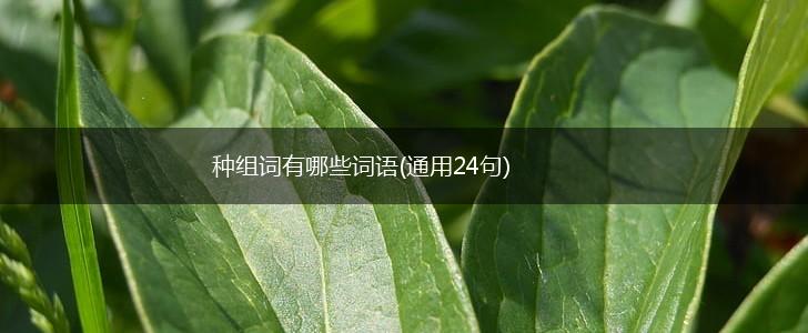 种组词有哪些词语(通用24句),第1张 种组词有哪些词语(通用24句),第1张