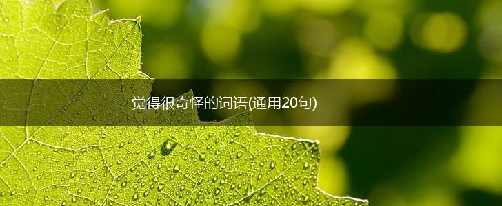 觉得很奇怪的词语(通用20句),第1张