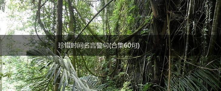 珍惜时间名言警句(合集60句),第1张