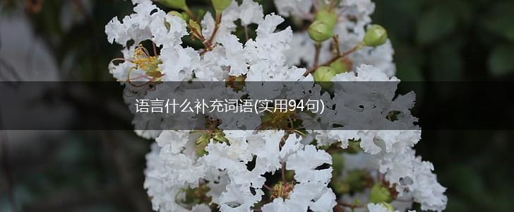 语言什么补充词语(实用94句),第1张