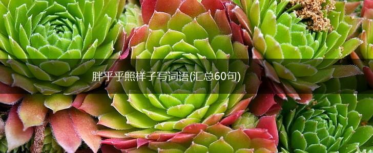 胖乎乎照样子写词语(汇总60句),第1张