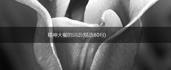 精神大餐的词语(精选60句),第1张 精神大餐的词语(精选60句),第1张