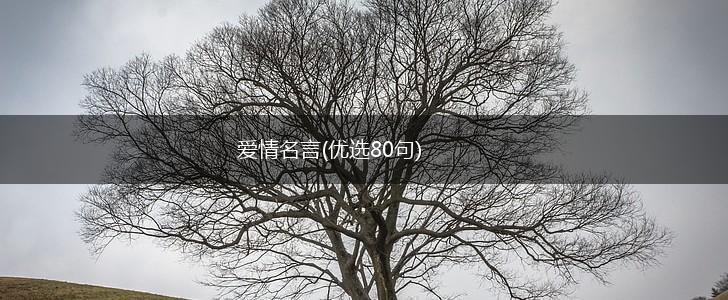 爱情名言(优选80句),第1张 爱情名言(优选80句),第1张