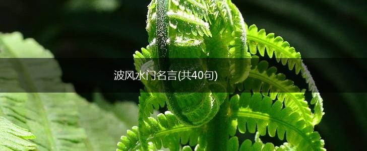 波风水门名言(共40句),第1张