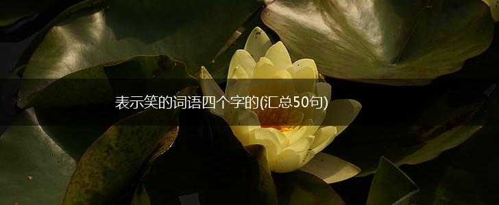 表示笑的词语四个字的(汇总50句),第1张
