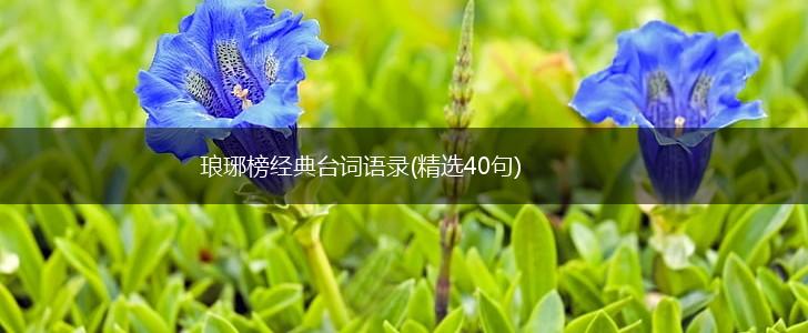 琅琊榜经典台词语录(精选40句),第1张
