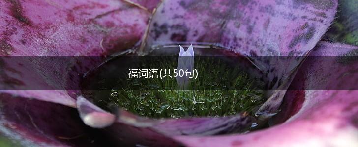 福词语(共50句),第1张