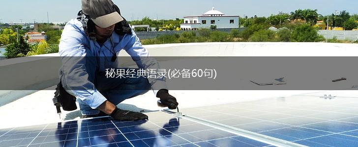秘果经典语录(必备60句),第1张