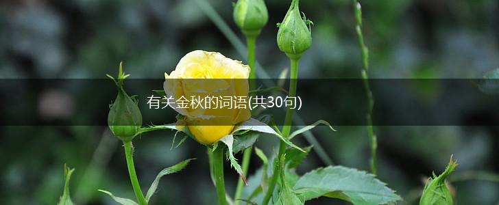 有关金秋的词语(共30句),第1张