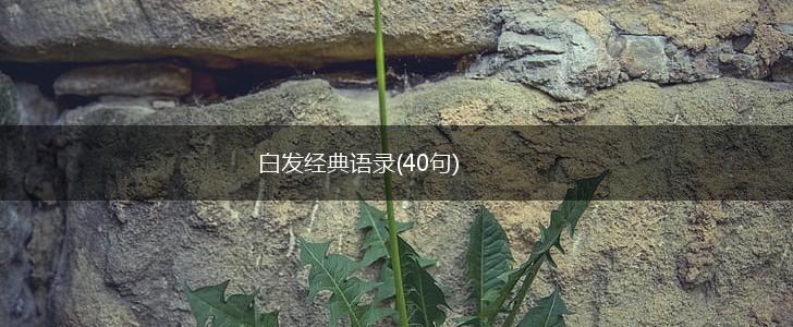 白发经典语录(40句),第1张