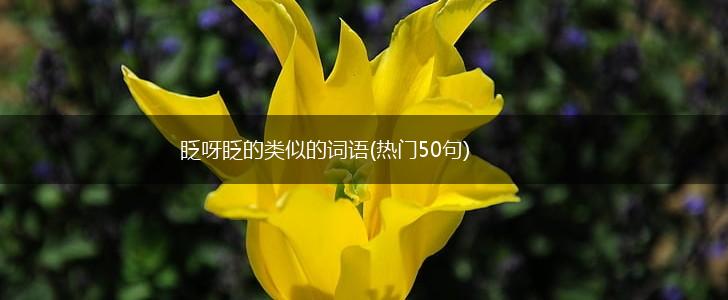 眨呀眨的类似的词语(热门50句),第1张