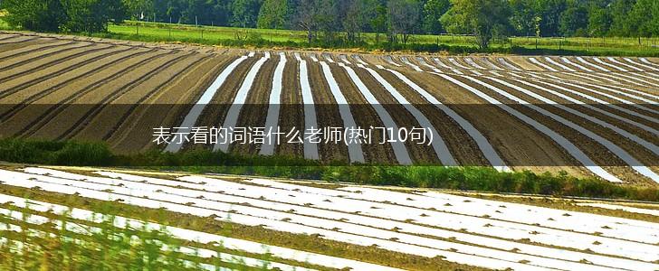 表示看的词语什么老师(热门10句),第1张