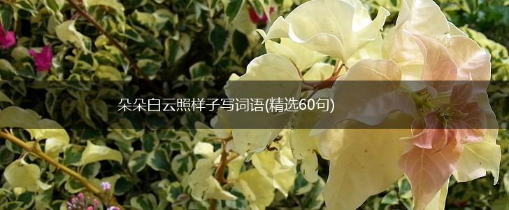 朵朵白云照样子写词语(精选60句),第1张