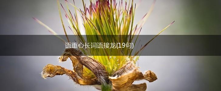 语重心长词语接龙(19句),第1张