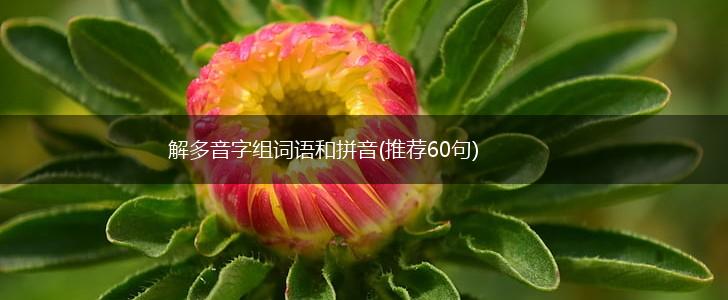 解多音字组词语和拼音(推荐60句),第1张