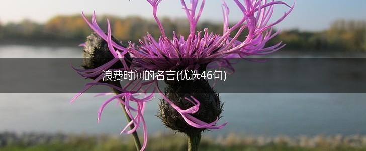 浪费时间的名言(优选46句),第1张