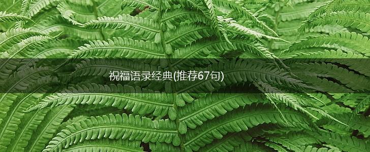 祝福语录经典(推荐67句),第1张