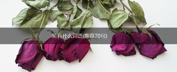 笑有什么词语(推荐70句),第1张