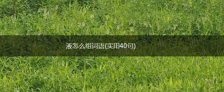 液怎么组词语(实用40句),第1张