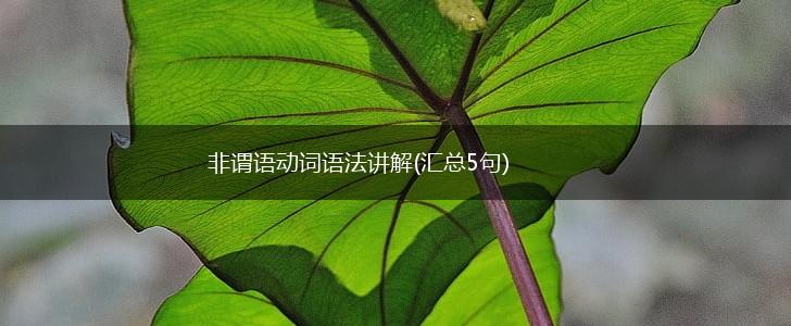 非谓语动词语法讲解(汇总5句),第1张