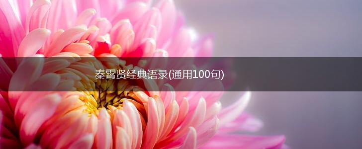 秦霄贤经典语录(通用100句),第1张