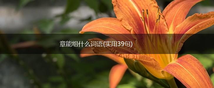 章能组什么词语(实用39句),第1张