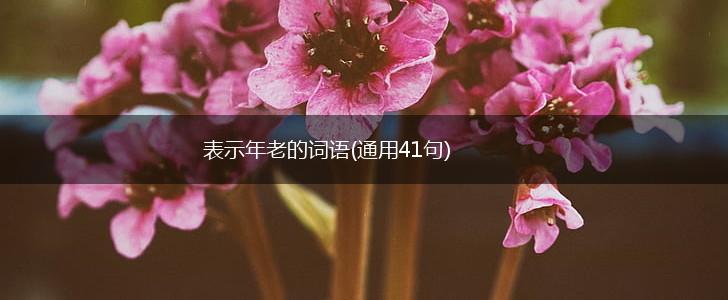 表示年老的词语(通用41句),第1张