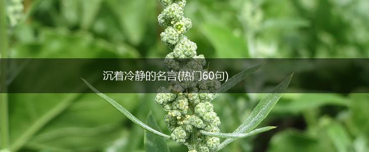沉着冷静的名言(热门60句),第1张