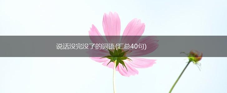 说话没完没了的词语(汇总40句),第1张