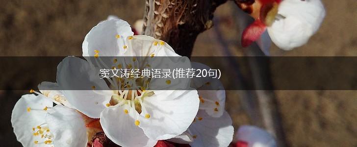 窦文涛经典语录(推荐20句),第1张