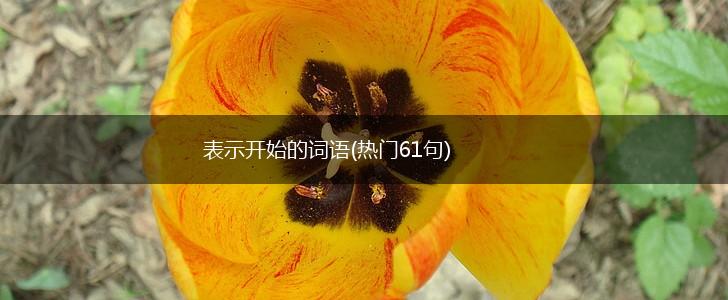 表示开始的词语(热门61句),第1张
