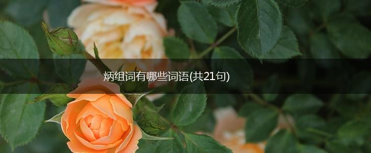 炳组词有哪些词语(共21句),第1张