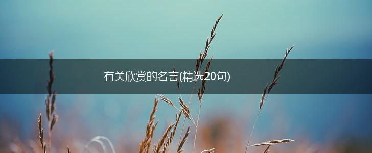 有关欣赏的名言(精选20句),第1张 有关欣赏的名言(精选20句),第1张