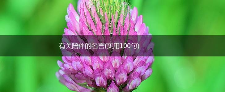 有关陪伴的名言(实用100句),第1张