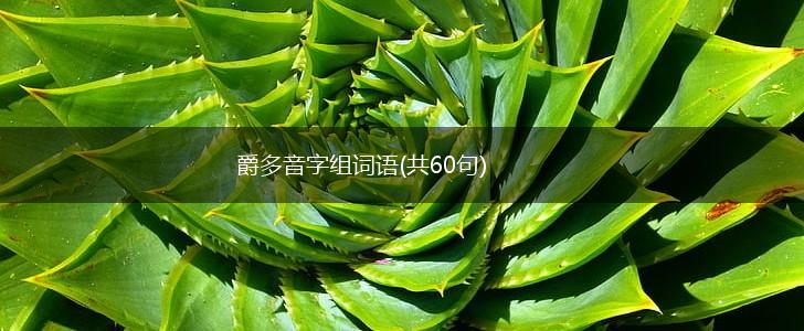 爵多音字组词语(共60句),第1张