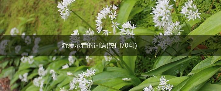 游表示看的词语(热门70句),第1张