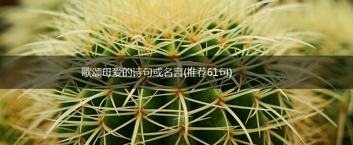 歌颂母爱的诗句或名言(推荐61句),第1张 歌颂母爱的诗句或名言(推荐61句),第1张