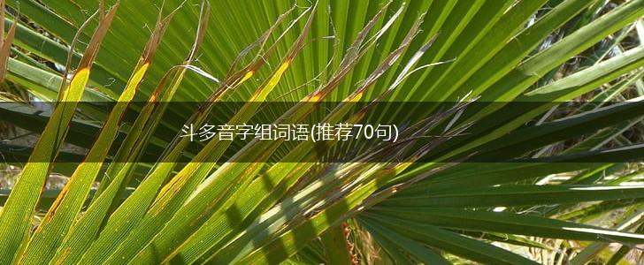 斗多音字组词语(推荐70句),第1张 斗多音字组词语(推荐70句),第1张