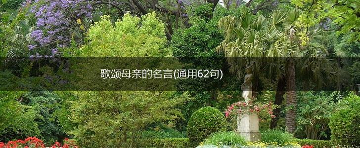 歌颂母亲的名言(通用62句),第1张