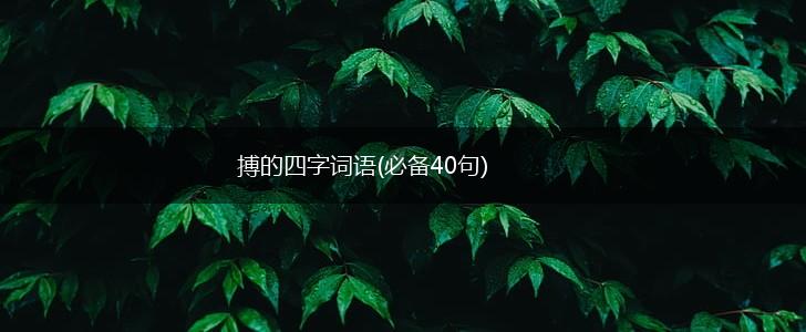 搏的四字词语(必备40句),第1张 搏的四字词语(必备40句),第1张